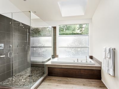 Top Tub To Shower Conversion Companies in Tempe, AZ