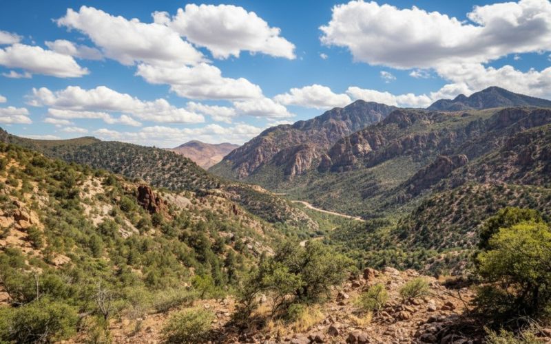 Hero for Home Services Options